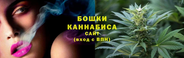 гашик Пестово