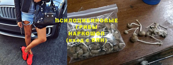 ешки Арсеньев