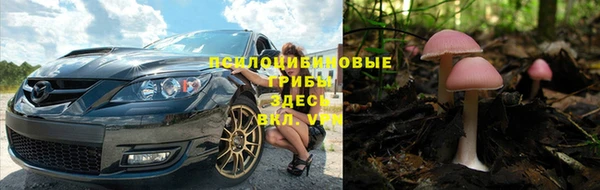ГАЛЛЮЦИНОГЕННЫЕ ГРИБЫ Пересвет