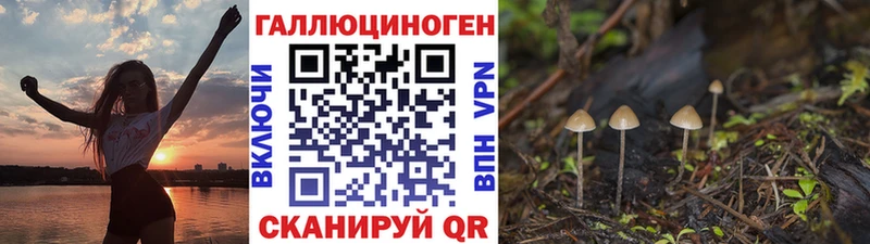 Галлюциногенные грибы мицелий где найти Канаш
