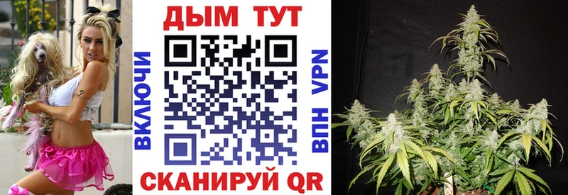 Шишки марихуана гибрид  Канаш 